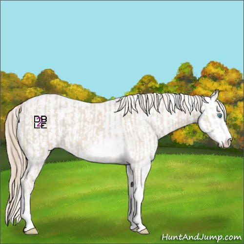 Horse Color:Smoky Creme Sabino  and Smoky Creme Sabino 