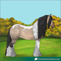 Horse Color:Brown Dun Tobiano 