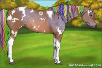 Horse Color:Painted White Spotted Chestnut Tobiano Rabicano 