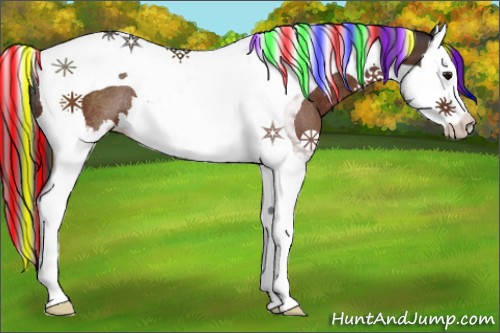 Horse Color:Painted Bay Splash Tobiano Rabicano