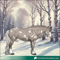Horse Color:White Spotted Silver Grullo Ice Sabino