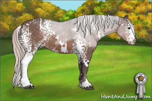 Horse Color:White Spotted Silver Black 