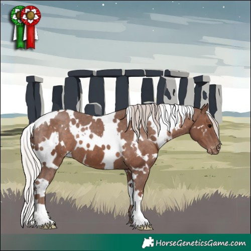 Horse Color:White Spotted Silver Black Appaloosa 