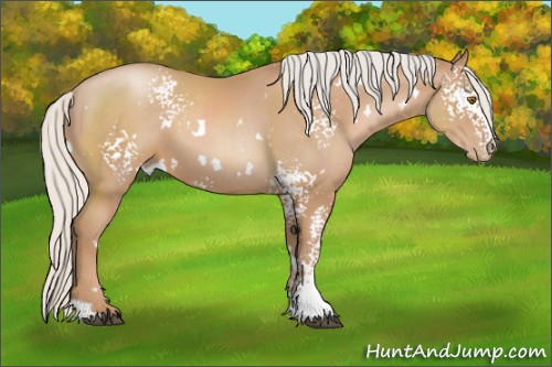 Horse Color:White Spotted Silver Black Pearl 