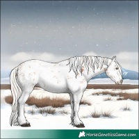 Horse Color:White Spotted Silver Black Pearl Sabino 