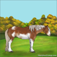 Horse Color:White Spotted Silver Buckskin Tobiano Frame 