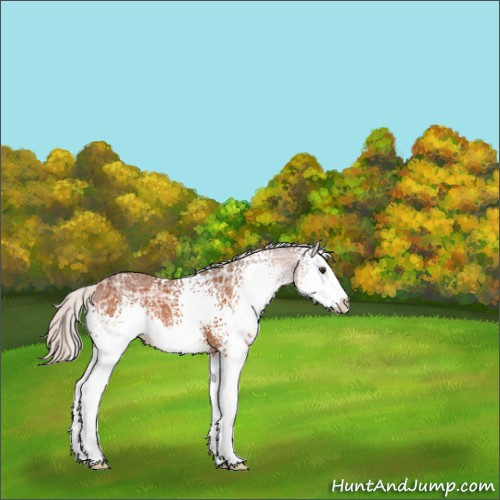 Horse Color:White Spotted Silver Brown Ice Sabino Splash 