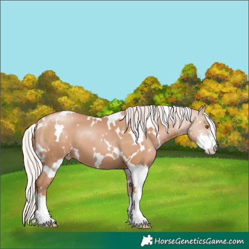 Horse Color:White Spotted Silver Black Pearl Sabino 