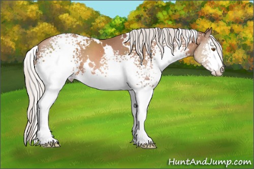 Horse Color:White Spotted Silver Black Pearl 