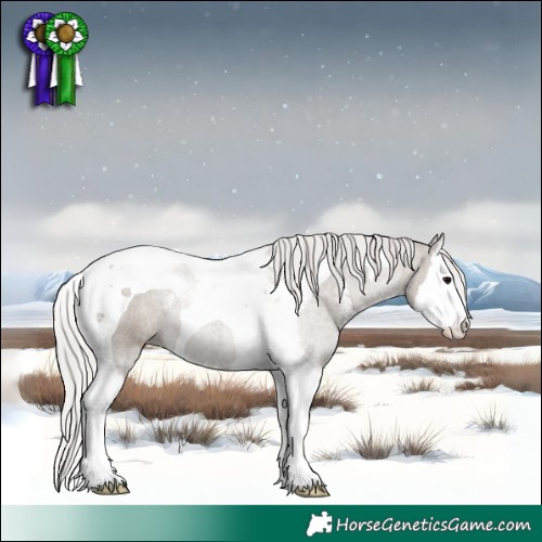 Horse Color:Silver Grullo Sabino Splash Tobiano
