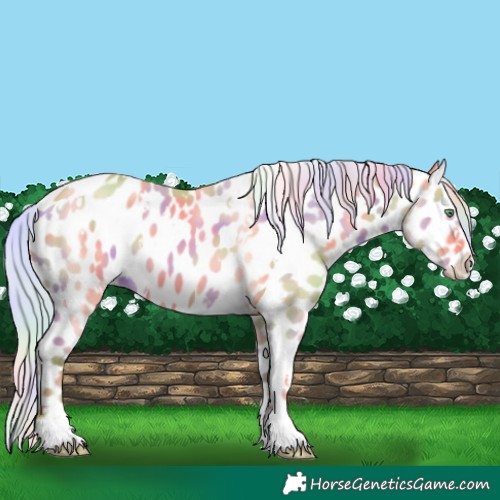Horse Color:Nacre White Spotted Silver Amber Champagne Dun Appaloosa 