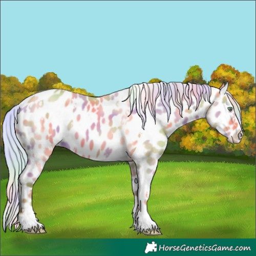 Horse Color:Nacre White Spotted Silver Amber Champagne Dun Appaloosa 