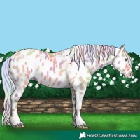 Horse Color:Nacre White Spotted Silver Amber Champagne Dun Near Leopard
