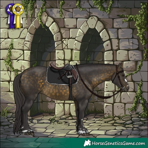 Horse Color:Buckskin 