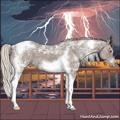 Horse Color:White Spotted Silver Grullo Ice Tobiano Frame 