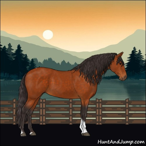 Horse Color:Buckskin Tobiano 