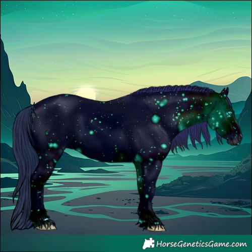 Horse Color:ERROR: UNKNOWN ANOMALY