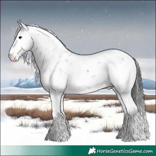 Horse Color:Black Ice Sabino 
