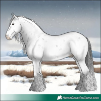 Horse Color:Black Ice Sabino 