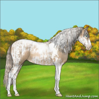 Horse Color:Chocolate Palomino Pearl Tobiano Frame  and Chocolate Palomino Pearl Splash Tobiano Frame 