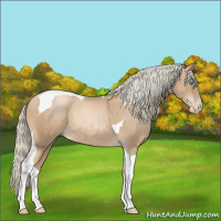 Horse Color:Chocolate Palomino Pearl Tobiano Frame  and Chocolate Palomino Pearl Tobiano 