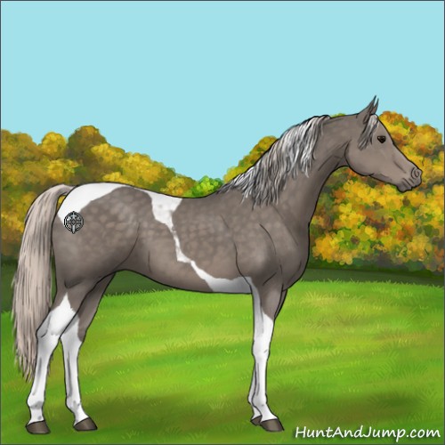 Horse Color:Silver Black Tobiano 