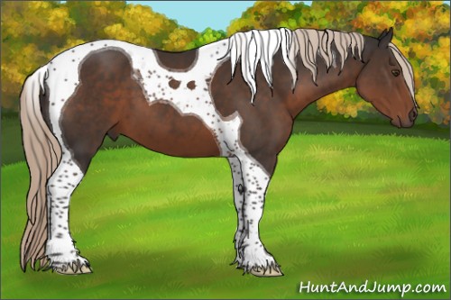 Horse Color:Liver Chestnut Tobiano 