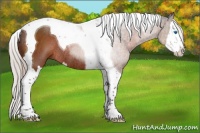 Horse Color:Silver Brown Splash Tobiano Rabicano