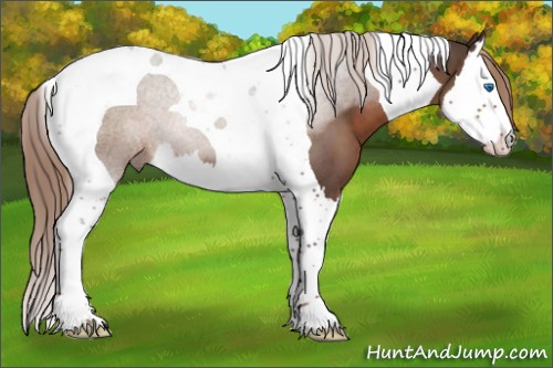 Horse Color:Liver Red Roan Splash Tobiano 
