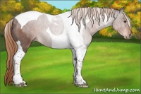 Horse Color:Liver Red Roan Tobiano 