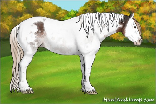 Horse Color:White Spotted Liver Chestnut Splash Tobiano 