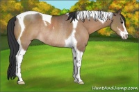 Horse Color:Brown Dun Sabino Tobiano Rabicano