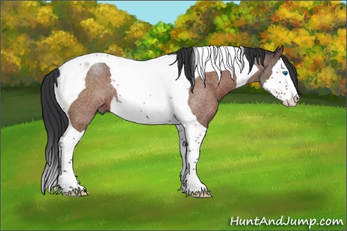 Horse Color:Brown Roan Splash Tobiano 