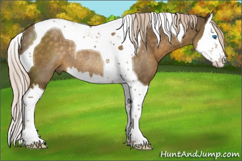 Horse Color:Chocolate Palomino Splash Tobiano Rabicano 