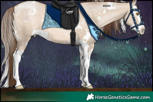 Horse Color:White Spotted Brown Pearl Dun Splash 