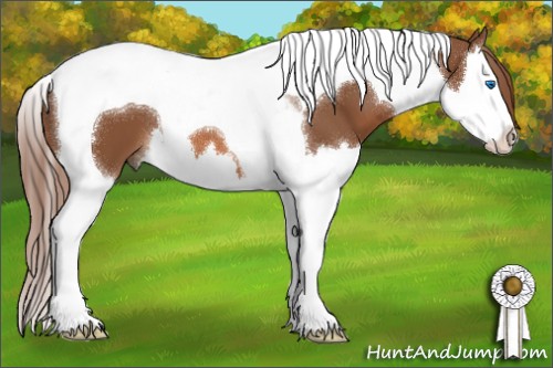 Horse Color:Chestnut Splash Tobiano 