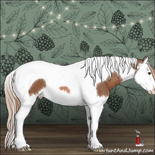 Horse Color:Chestnut Splash Tobiano 
