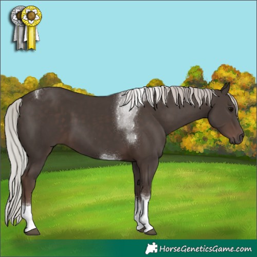 Horse Color:Silver Black Tobiano 
