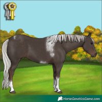 Horse Color:Silver Black Tobiano 