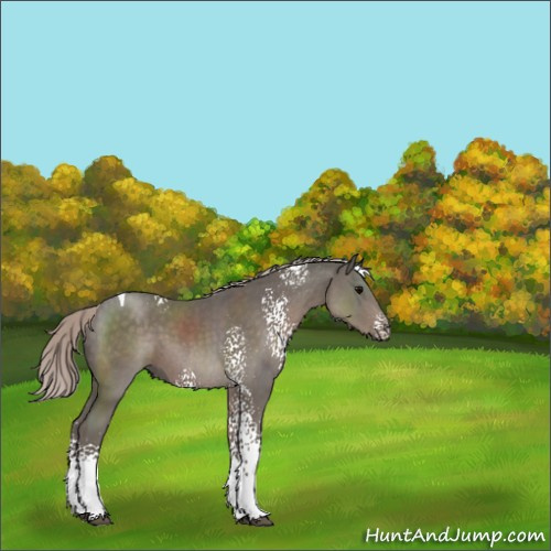 Horse Color:White Spotted Silver Black Tobiano 