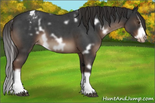 Horse Color:White Spotted Liver Red Roan Splash Frame Varnish