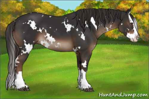 Horse Color:White Spotted Liver Chestnut Splash 