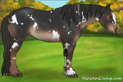 Horse Color:White Spotted Liver Chestnut Rabicano 
