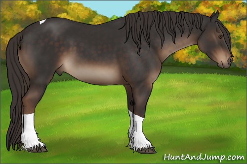 Horse Color:Liver Chestnut Tobiano 