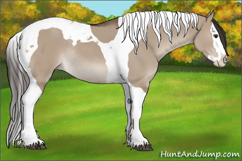 Horse Color:Liver Red Dun Splash Tobiano Rabicano 