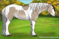 Horse Color:Liver Red Dun Splash Tobiano Rabicano