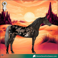Horse Color:Void Silver Brown Dun Tobiano Appaloosa Rabicano 