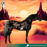 Horse Color:Void Silver Brown Dun Tobiano Appaloosa Rabicano 