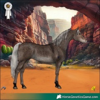 Horse Color:Void Silver Brown Roan Dun Tobiano Rabicano
