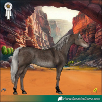 Horse Color:Void Silver Brown Roan Dun Tobiano Rabicano 